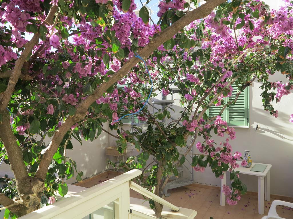 Casamare Hotel San Vincenzo Zimmer foto